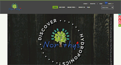 Desktop Screenshot of northys.com